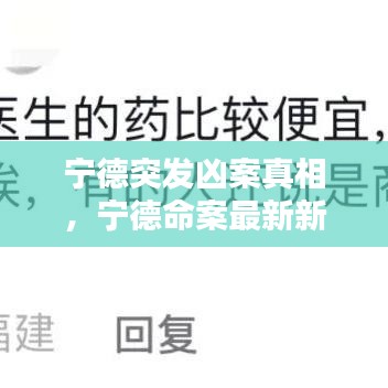 宁德突发凶案真相，宁德命案最新新闻 