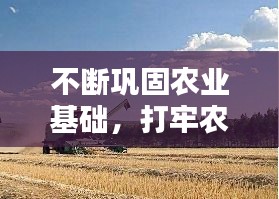 不断巩固农业基础，打牢农业基础 