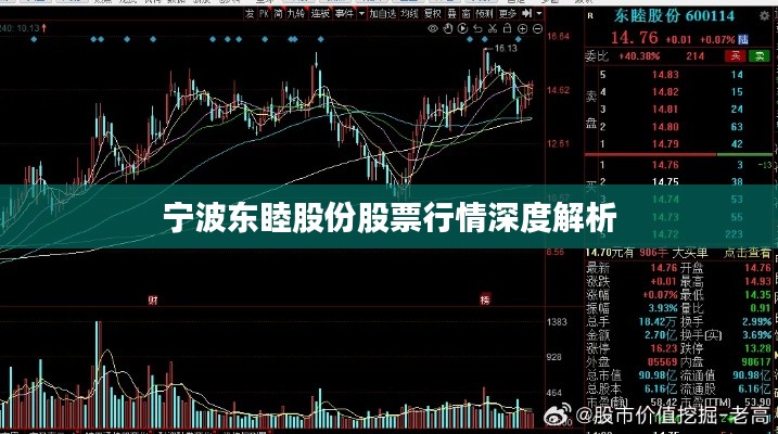 宁波东睦股份股票行情深度解析