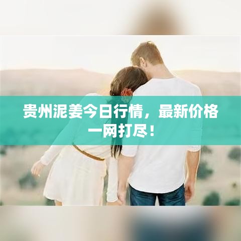 贵州泥姜今日行情，最新价格一网打尽！