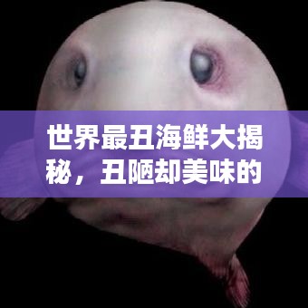 世界最丑海鲜大揭秘，丑陋却美味的海鲜榜单